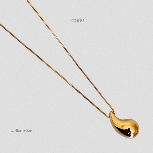 C509