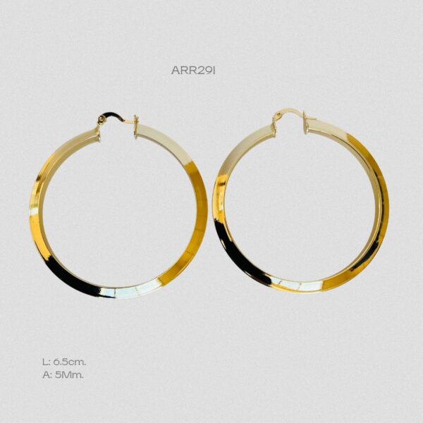 ARR291