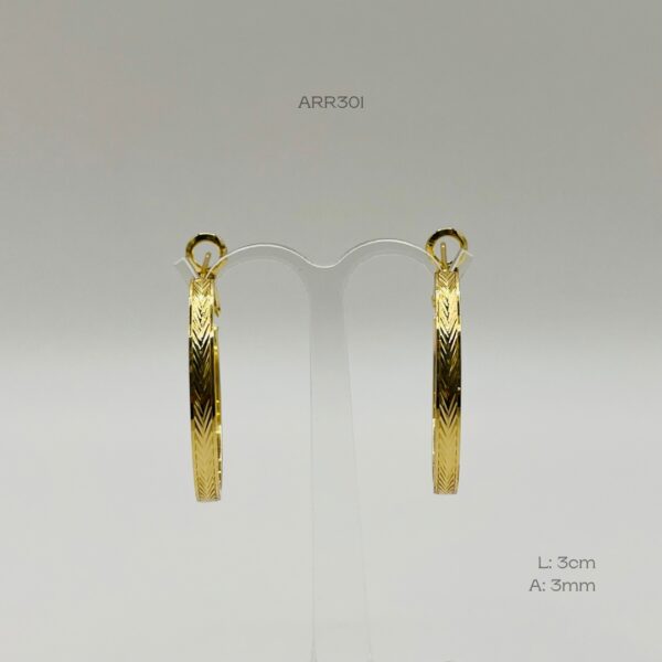 ARR301
