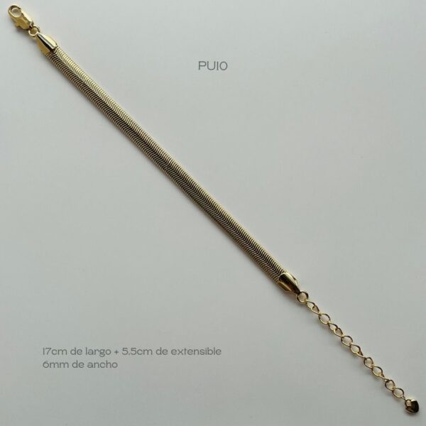 PU10