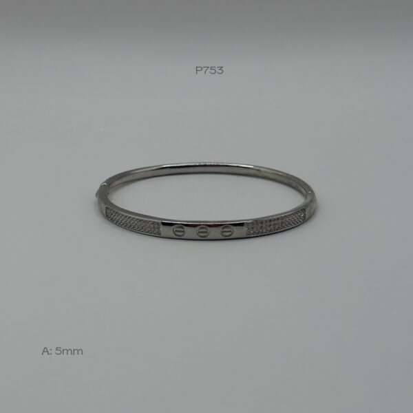P753 P753