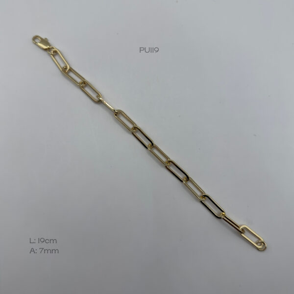 PU119