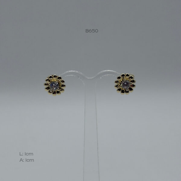 B650 B650