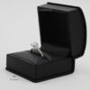 PAN250-6b PAN250-6