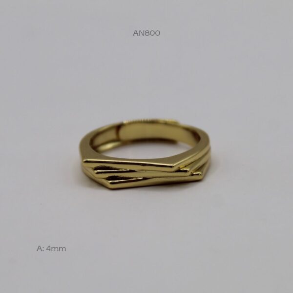 AN800 AN800