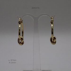 ARR479