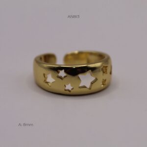 AN813 AN813