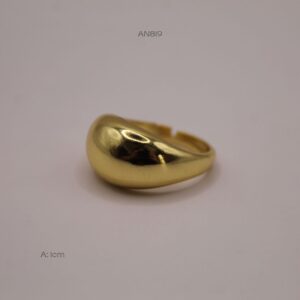 AN819 AN819
