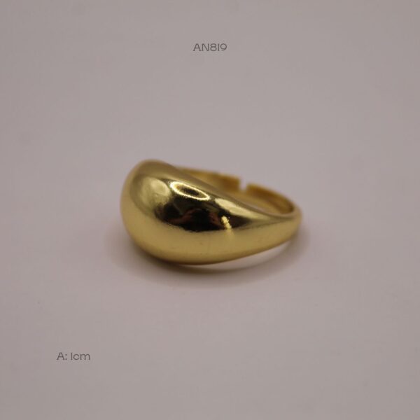 AN819