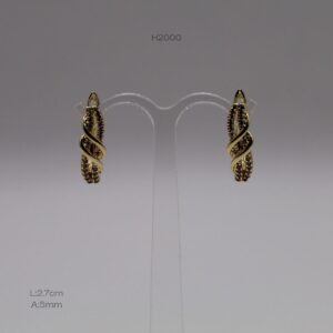 H2000