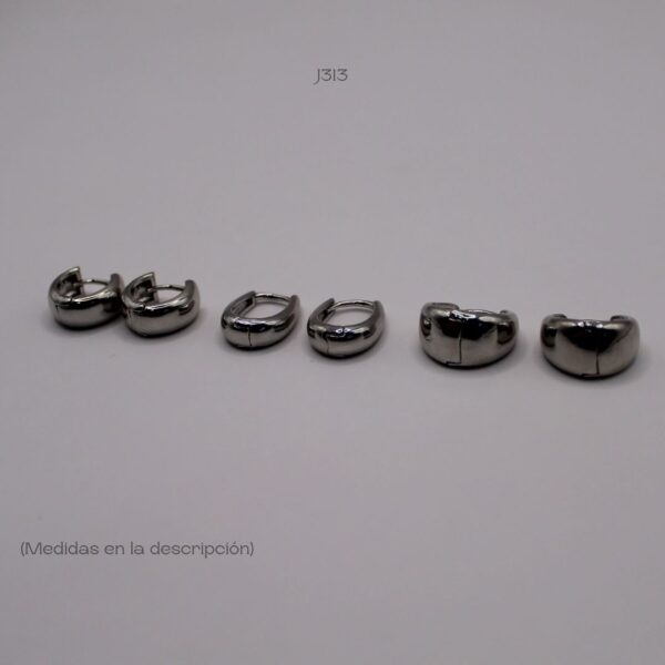 J313 (2) J313