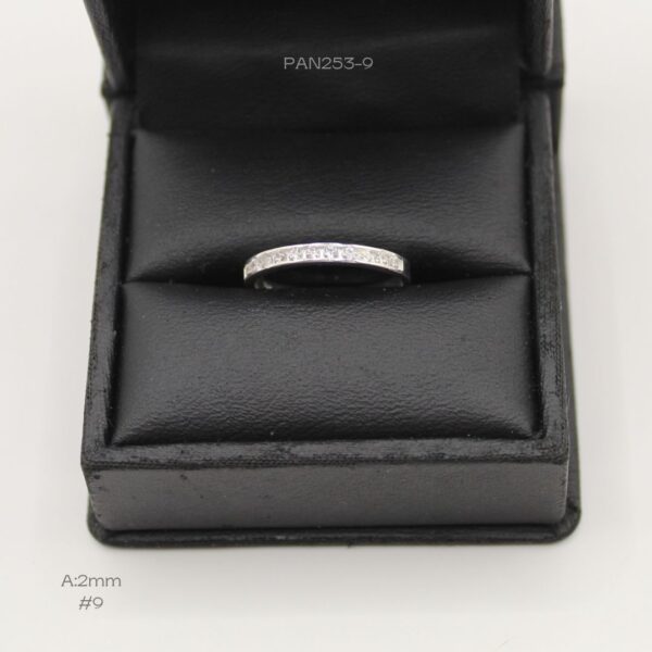 PAN253-9 PAN253-9