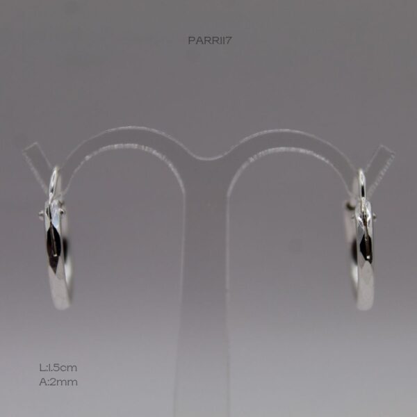 PARR117