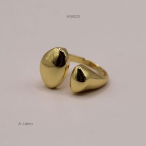 AN823