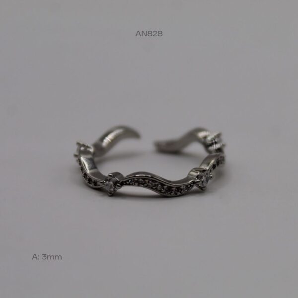 AN828 AN828