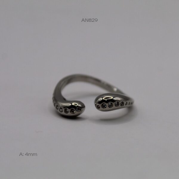 AN829