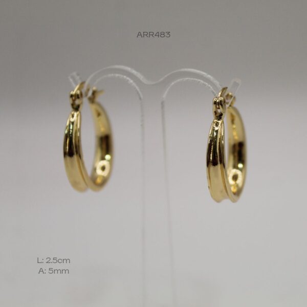 ARR483
