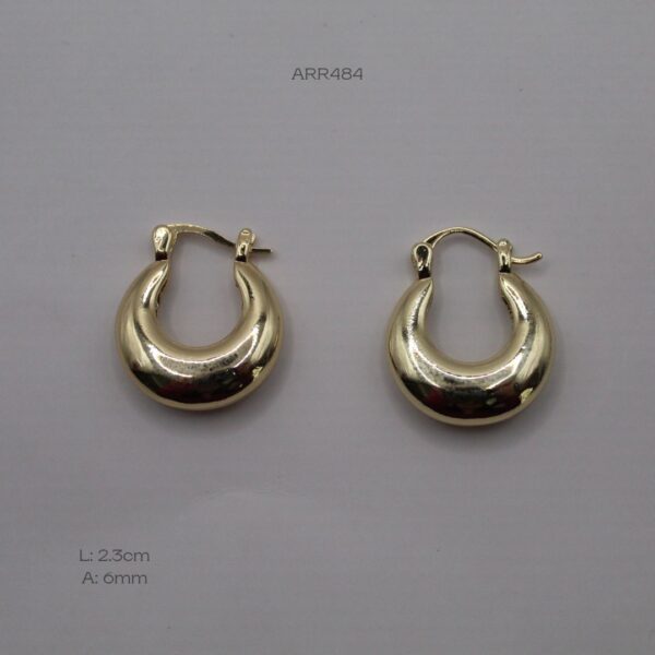 ARR484