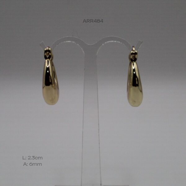 ARR484