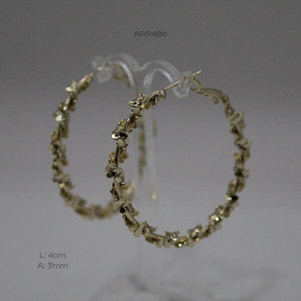 ARR486
