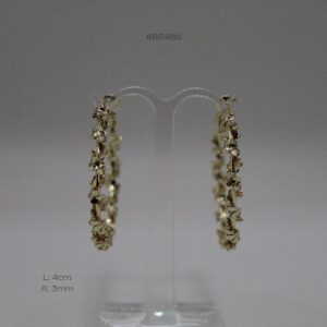 ARR486