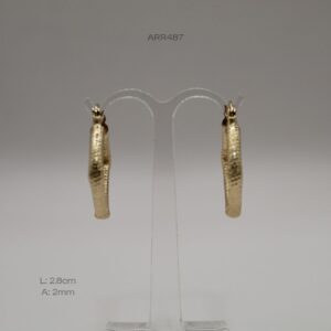 ARR487