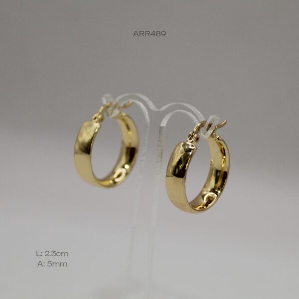 ARR489