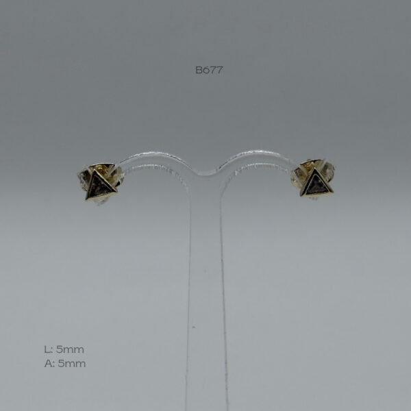 B677 B677