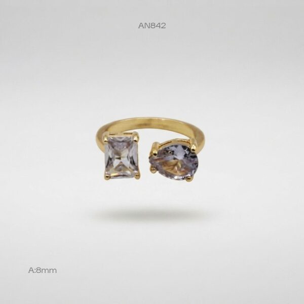 AN842 AN842