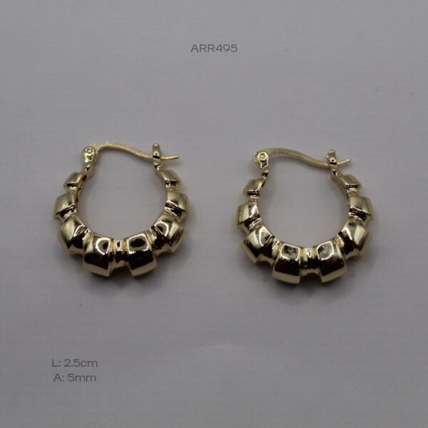 ARR495 (2) ARR495