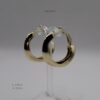 ARR497