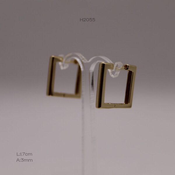 H2055 H2055