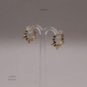 H2070 H2070