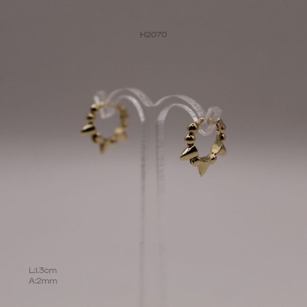 H2070 H2070