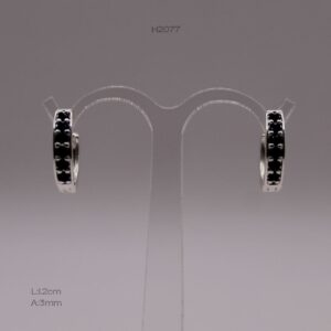 H2077 H2077