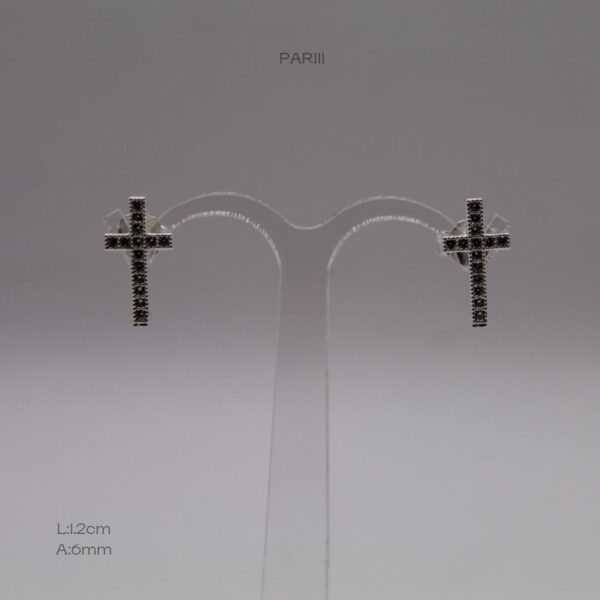 PAR111 PAR111