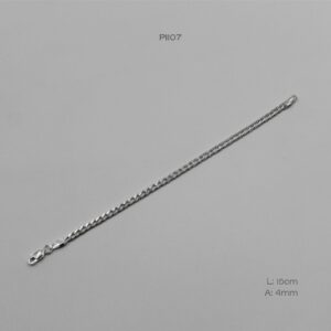 PI107