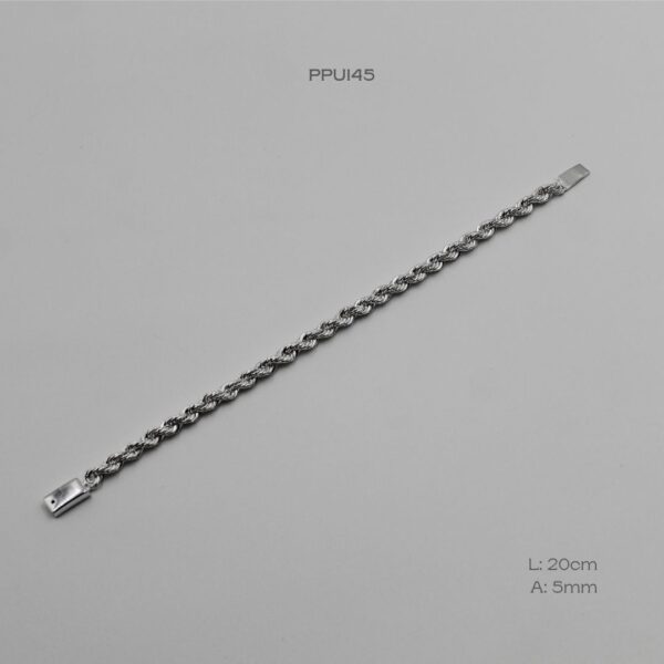 PPU145 PPU145