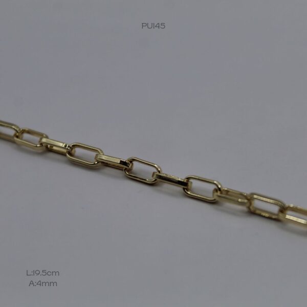 PU145 (2) PU145